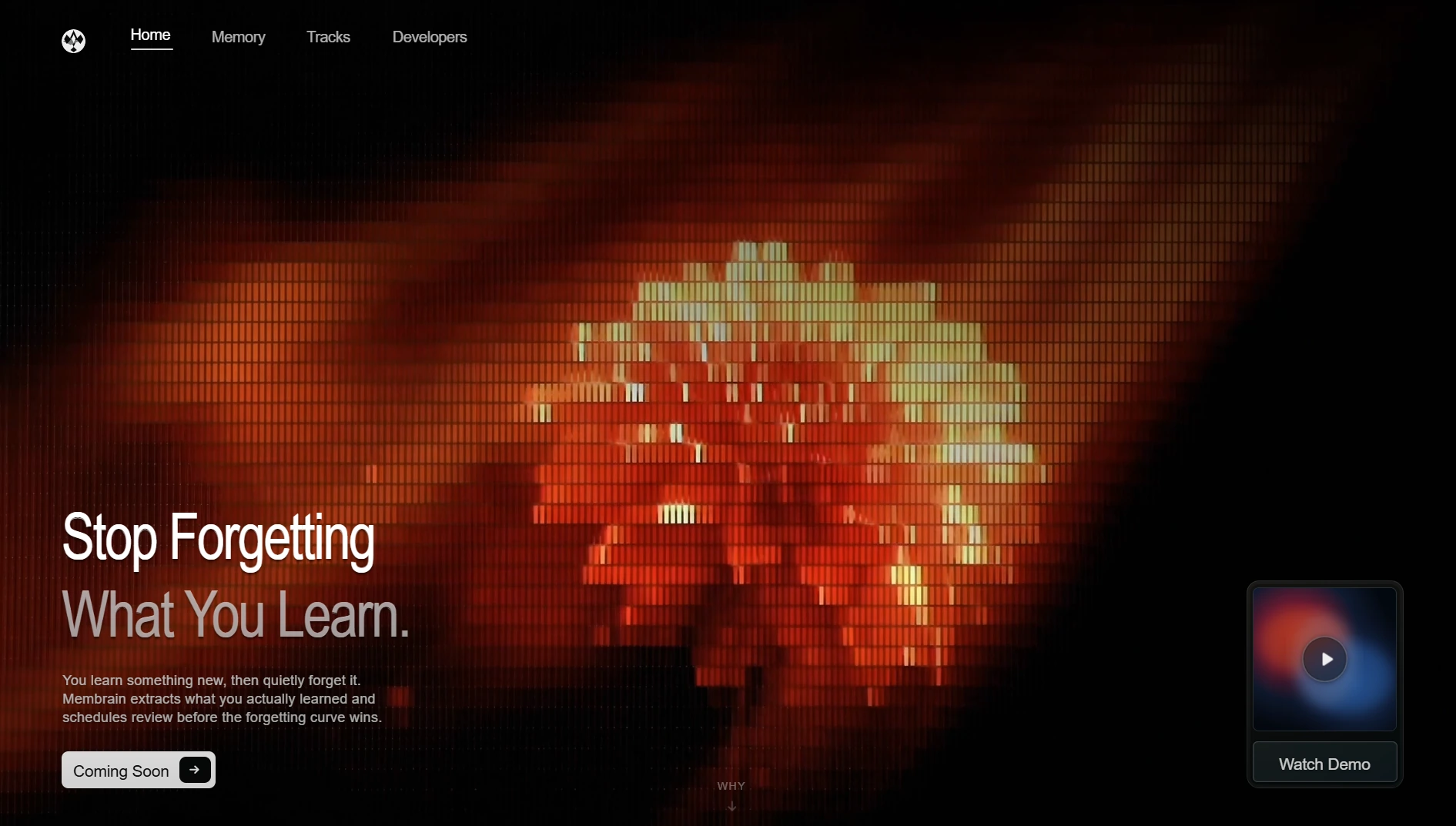 MemBrain — A memory layer and context engine that enforces the neuroscience of learning.